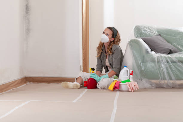 Reliable Mold Removal contractor in Gettysburg, PA by WQB Mold Removal